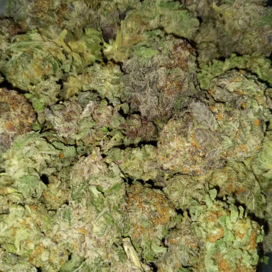 Tony purple kush2 I $79 Oz - Tony's Purple Kush