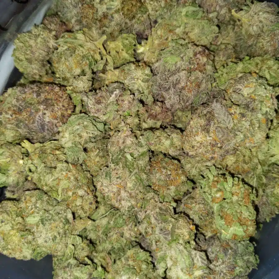 Tony purple kush3 I $79 Oz - Tony's Purple Kush