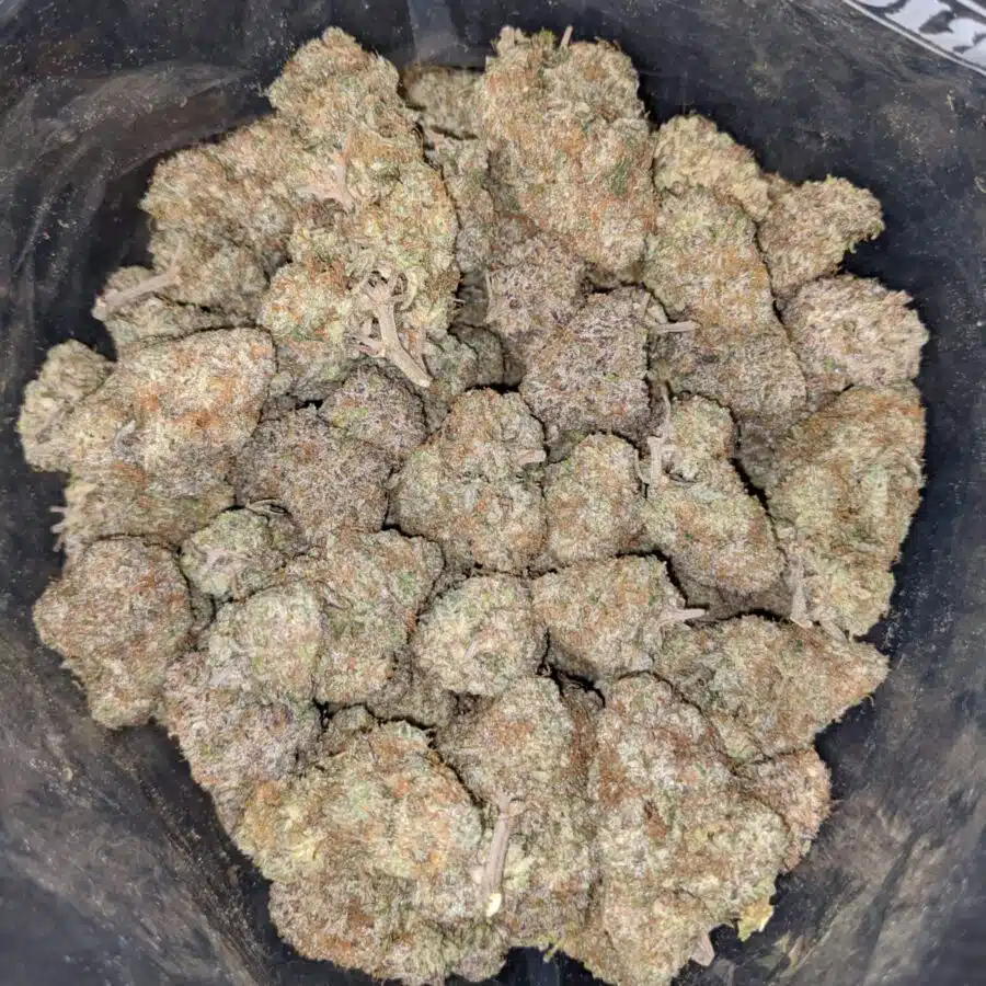 WEDDING CRASHERS 1 I $69 Oz - Wedding Crashers