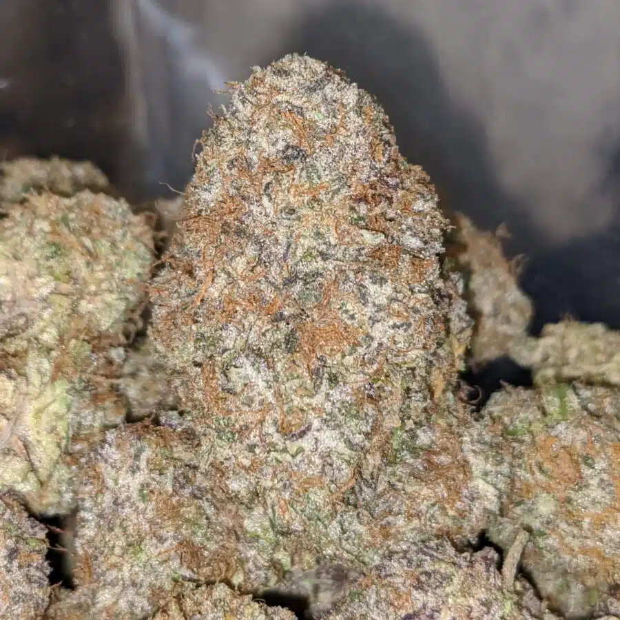 WEDDING CRASHERS 2 I $69 Oz - Wedding Crashers