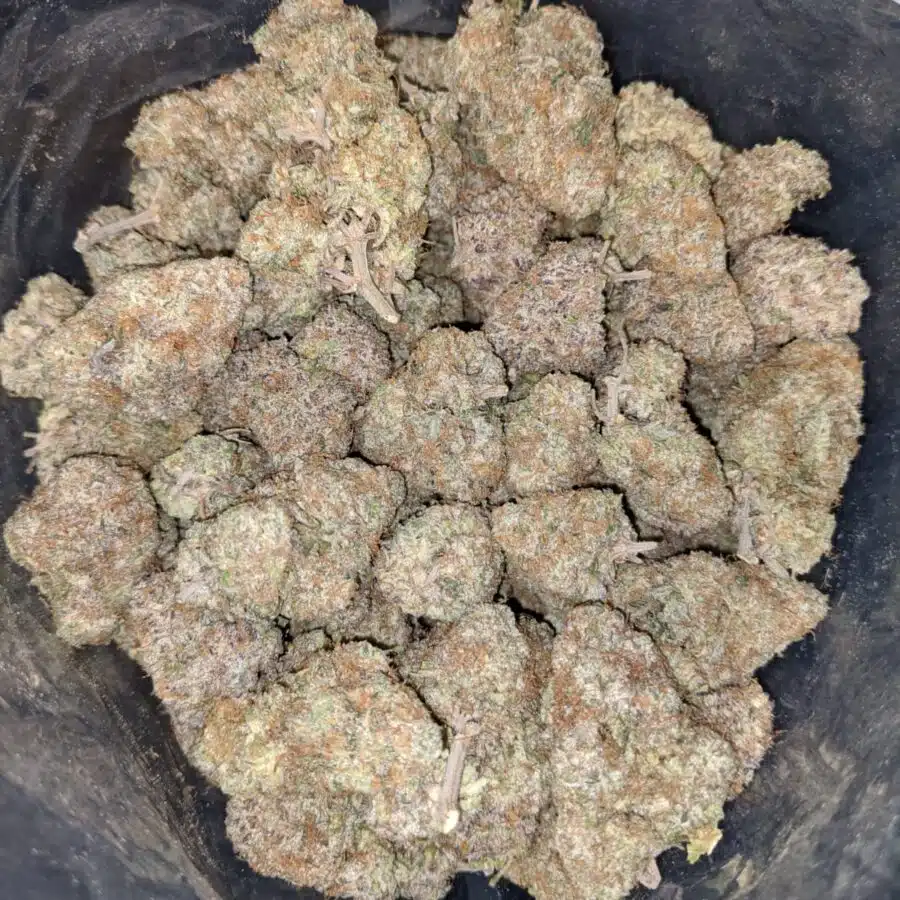 WEDDING CRASHERS 3 I $69 Oz - Wedding Crashers