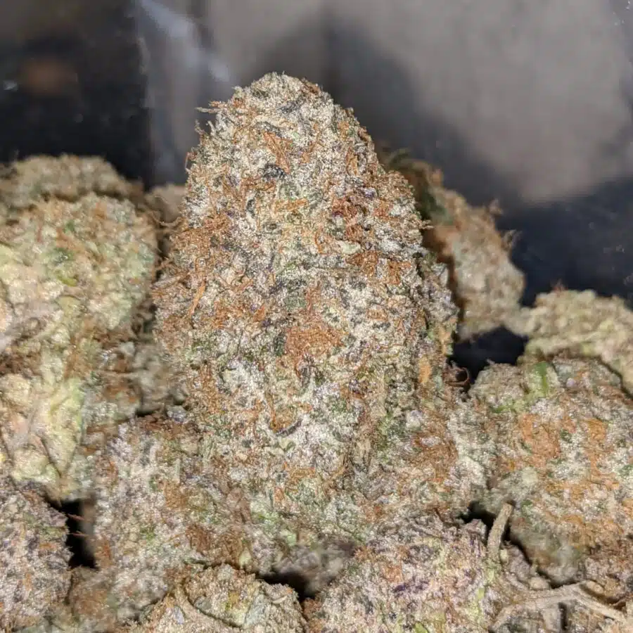WEDDING CRASHERS 4 I $69 Oz - Wedding Crashers
