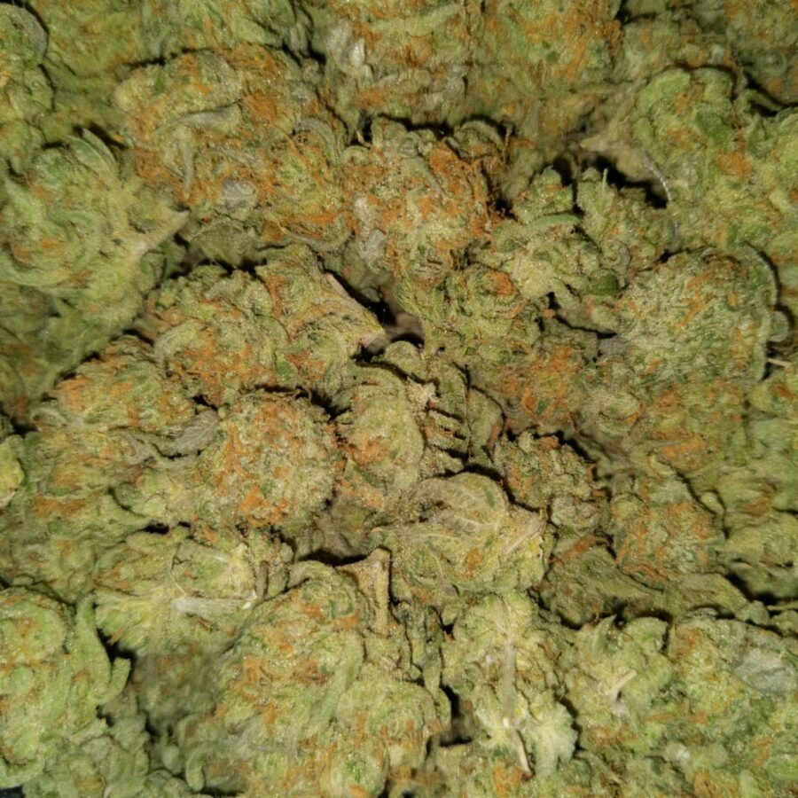 Zombie kush2 1 I $69 Oz - Zombie Kush AA