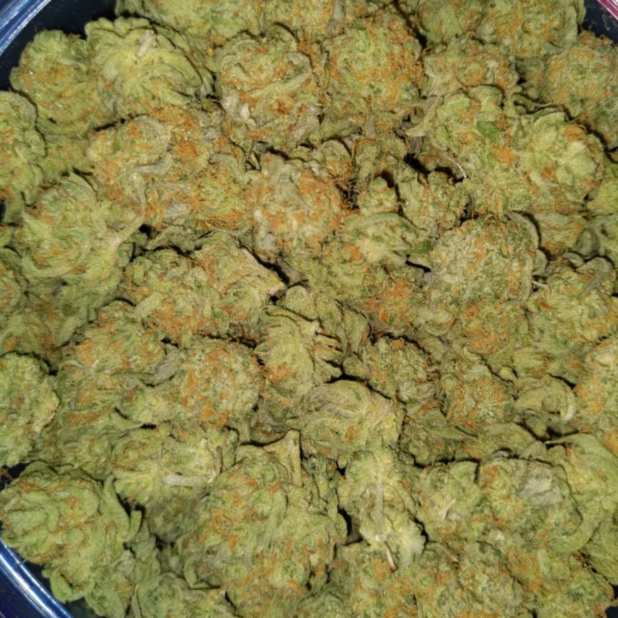 Zombie kush3 1 I $69 Oz - Zombie Kush AA