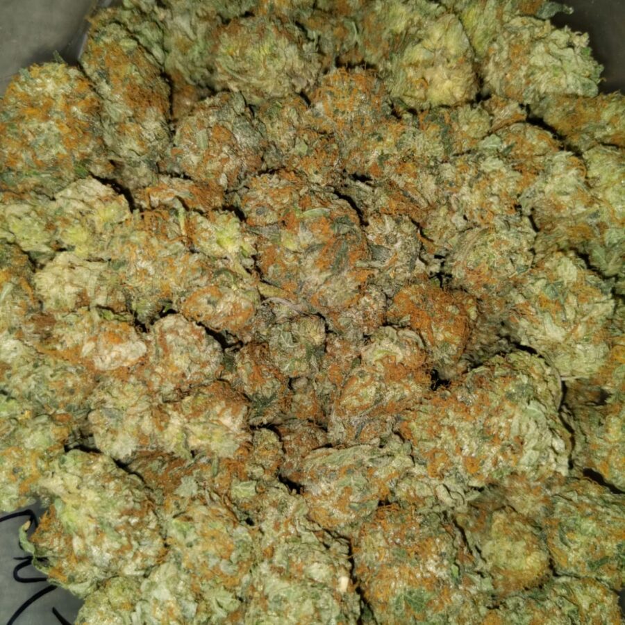 aa hybrid 1 I Cheapweed Hybrid
