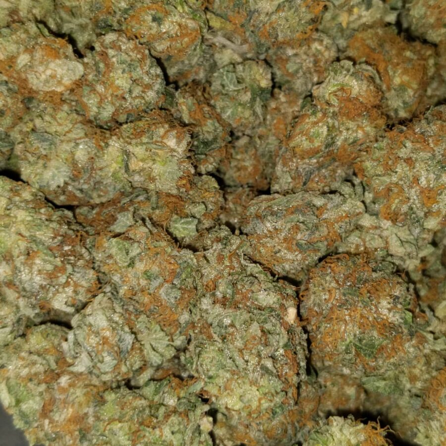 aa hybrid 2 I Cheapweed Hybrid