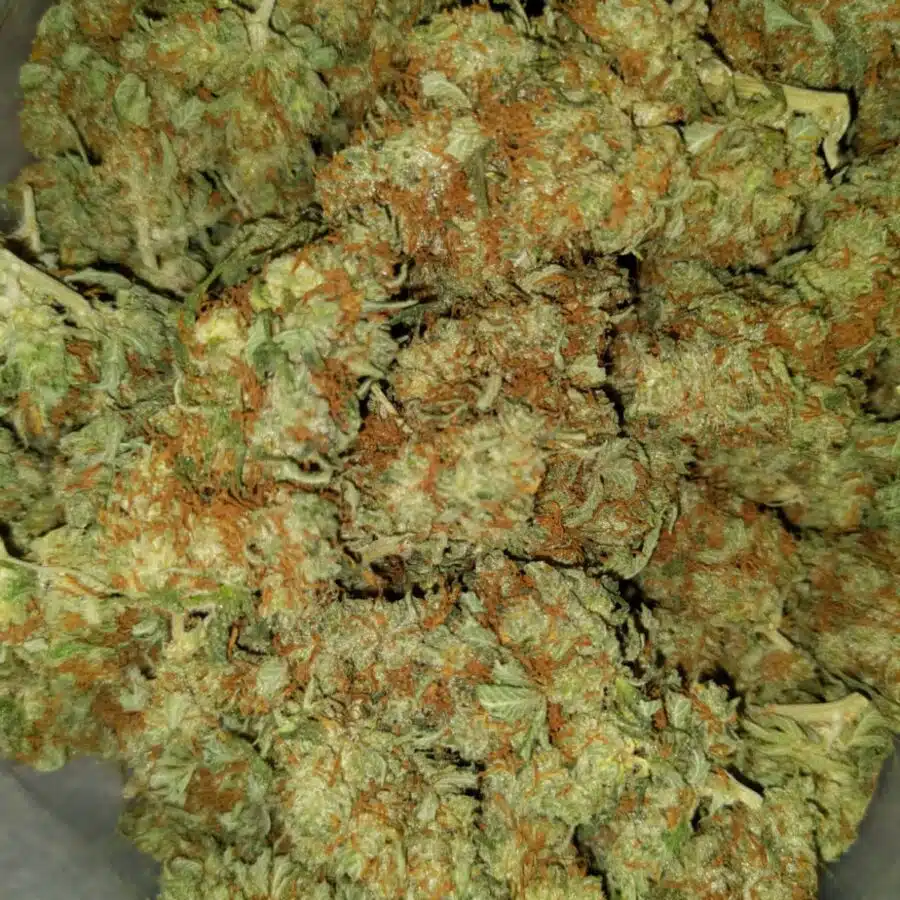 cheap blue dream 2 I Cheap Blue Dream