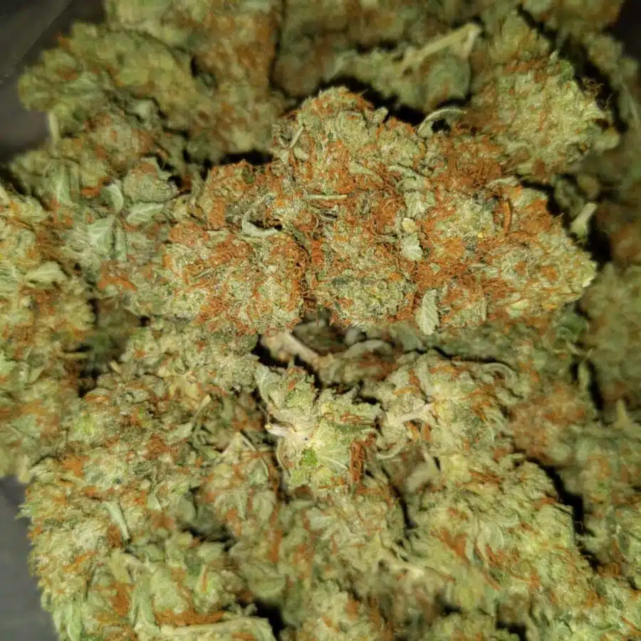 cheap blue dream 3 I Cheap Blue Dream