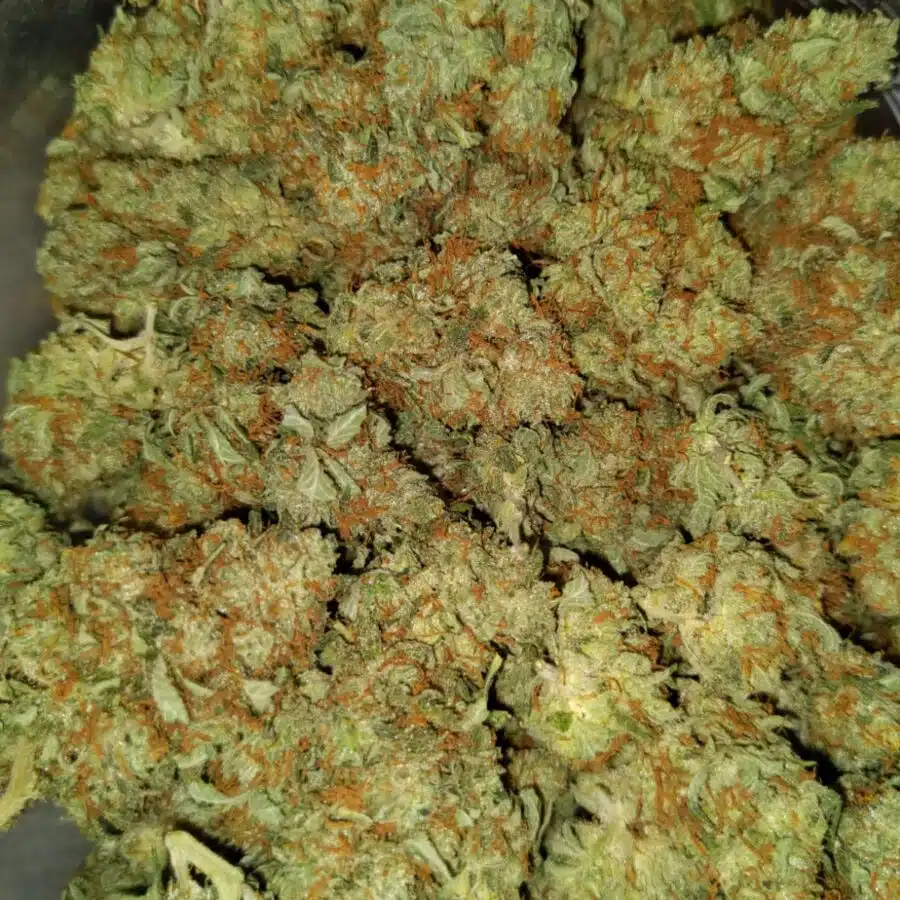 cheap blue dream 4 I Cheap Blue Dream