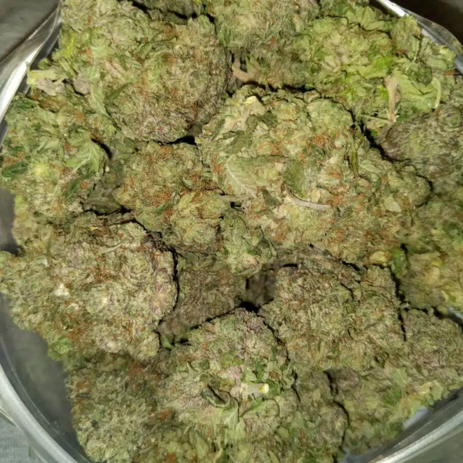 cherry kush 2 I $139 Oz - Cherry Blaster