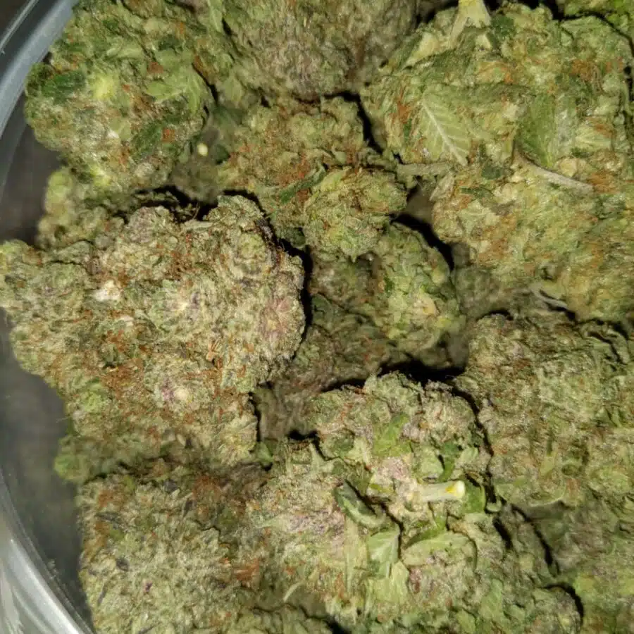 cherry kush 3 I $139 Oz - Cherry Blaster