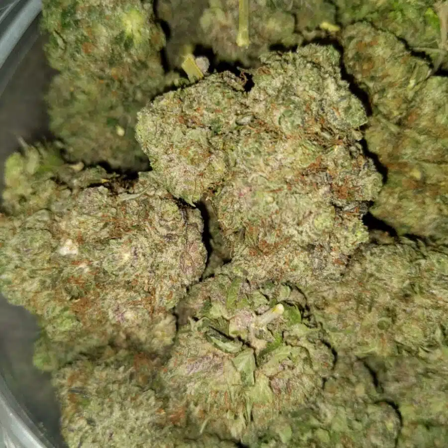 cherry kush 4 I $139 Oz - Cherry Blaster