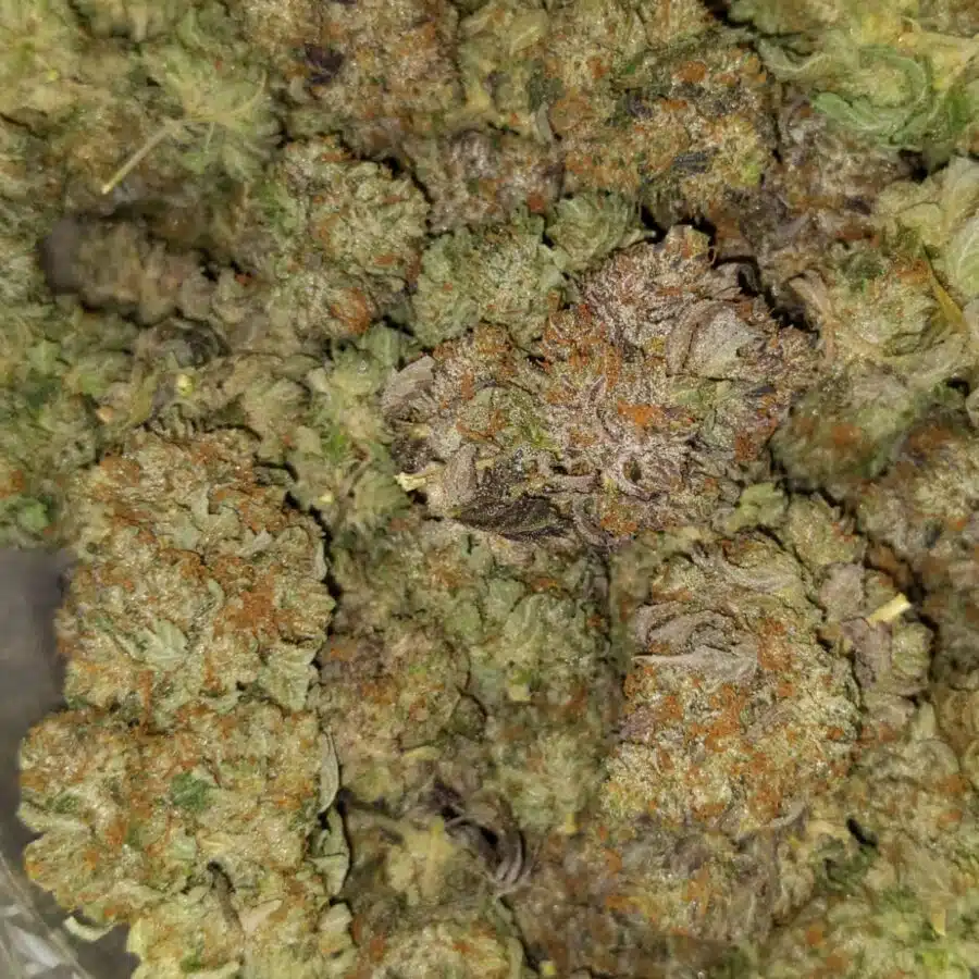 t darth 1 I $109 Oz - Tony's Darth Vader