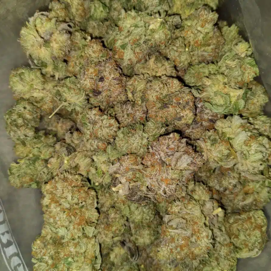 t darth 3 I $109 Oz - Tony's Darth Vader