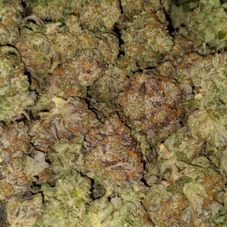 t darth 4 I $109 Oz - Tony's Darth Vader