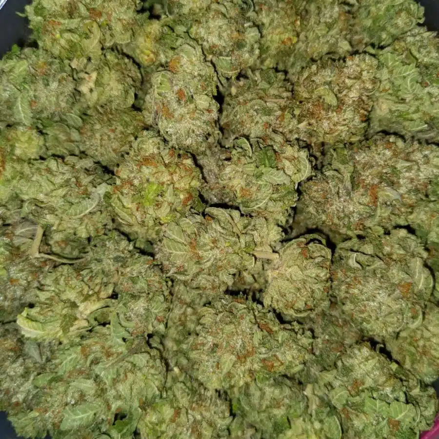 ubc chemo 3 I $79 Oz - UBC Chemo