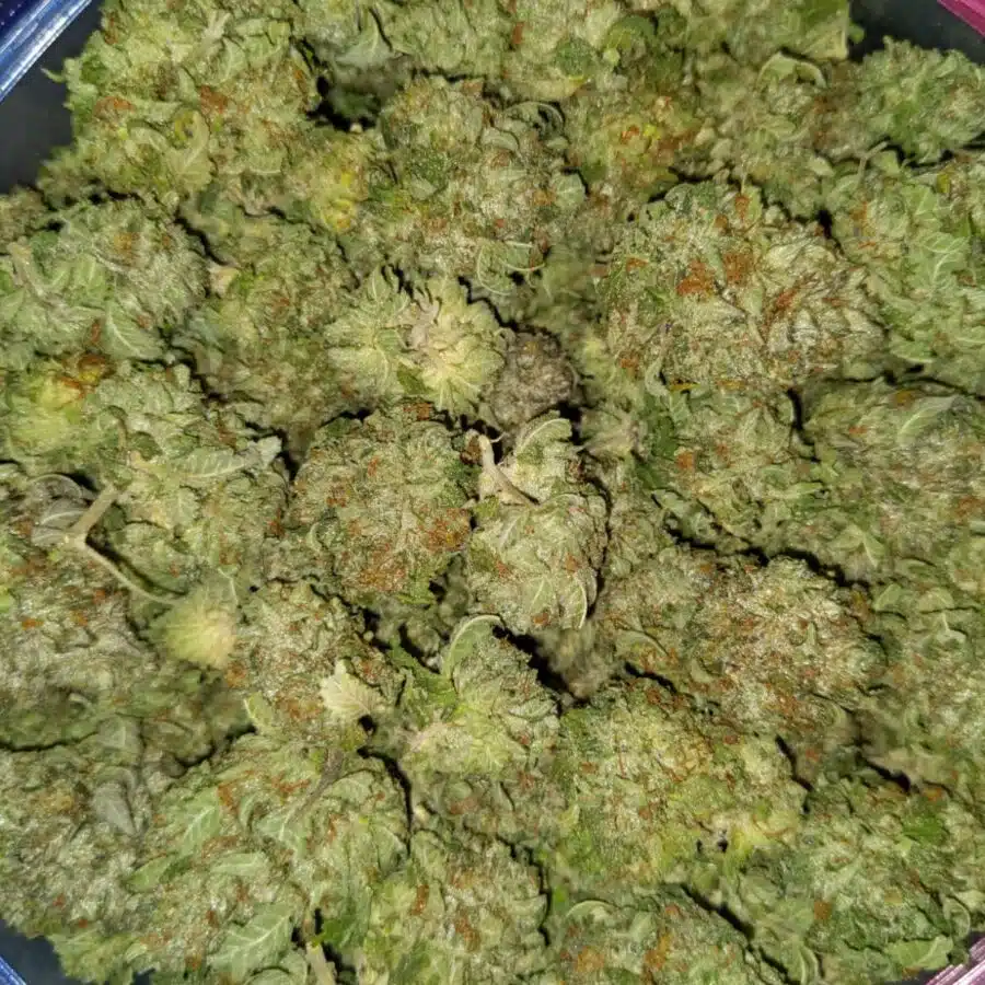 ubc chemo 4 I $79 Oz - UBC Chemo