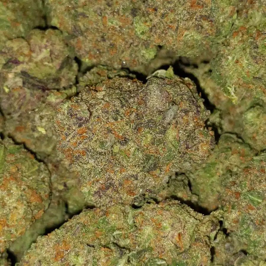 white rhino x nuken 1 I $89 Oz - White Rhino x Nuken