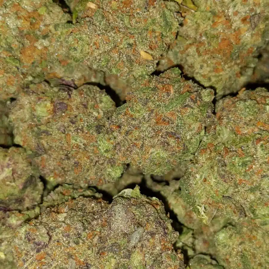 white rhino x nuken 3 I $89 Oz - White Rhino x Nuken