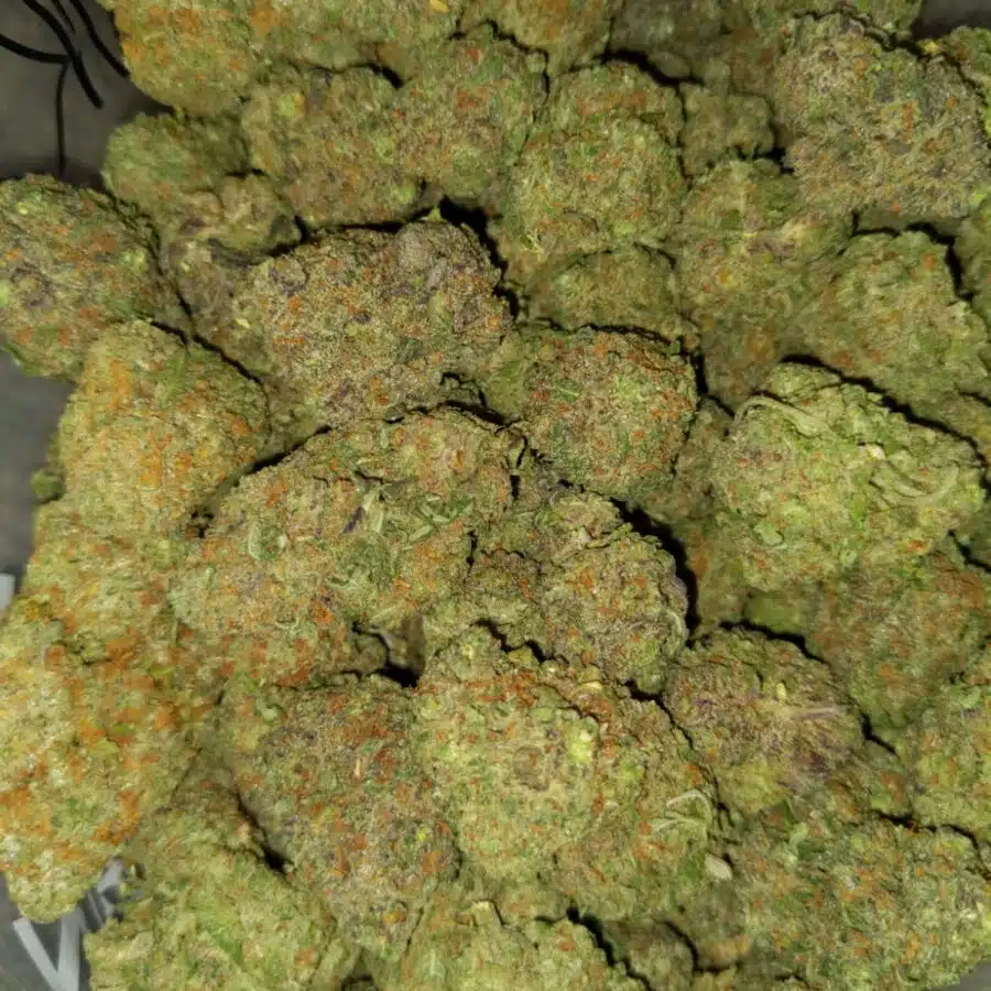 white rhino x nuken 4 I $89 Oz - White Rhino x Nuken