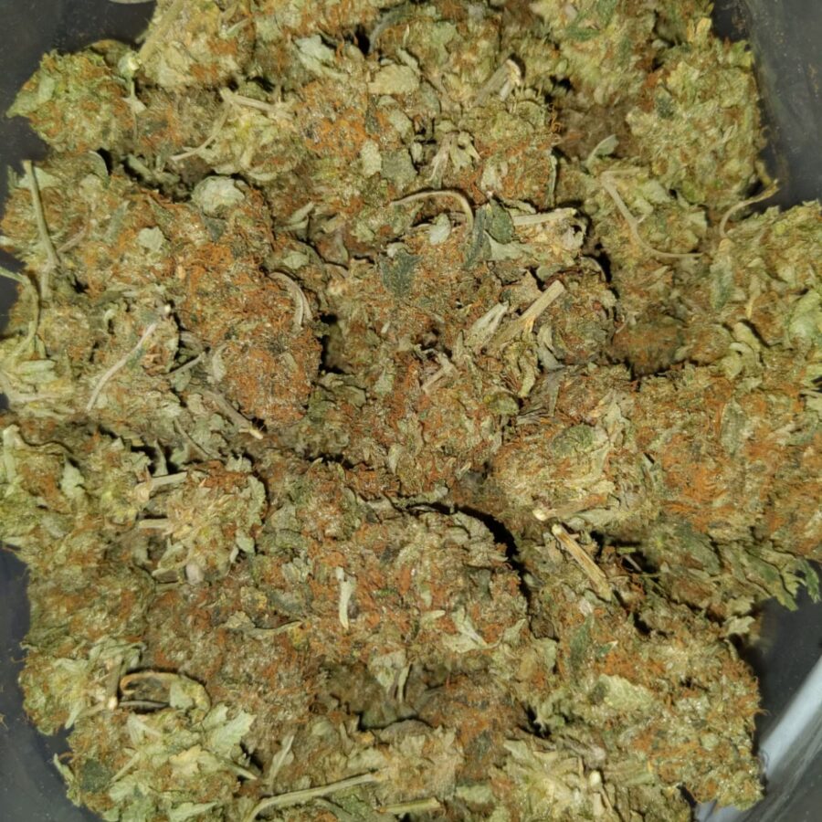 AA hybrid restock1 I Cheapweed Hybrid