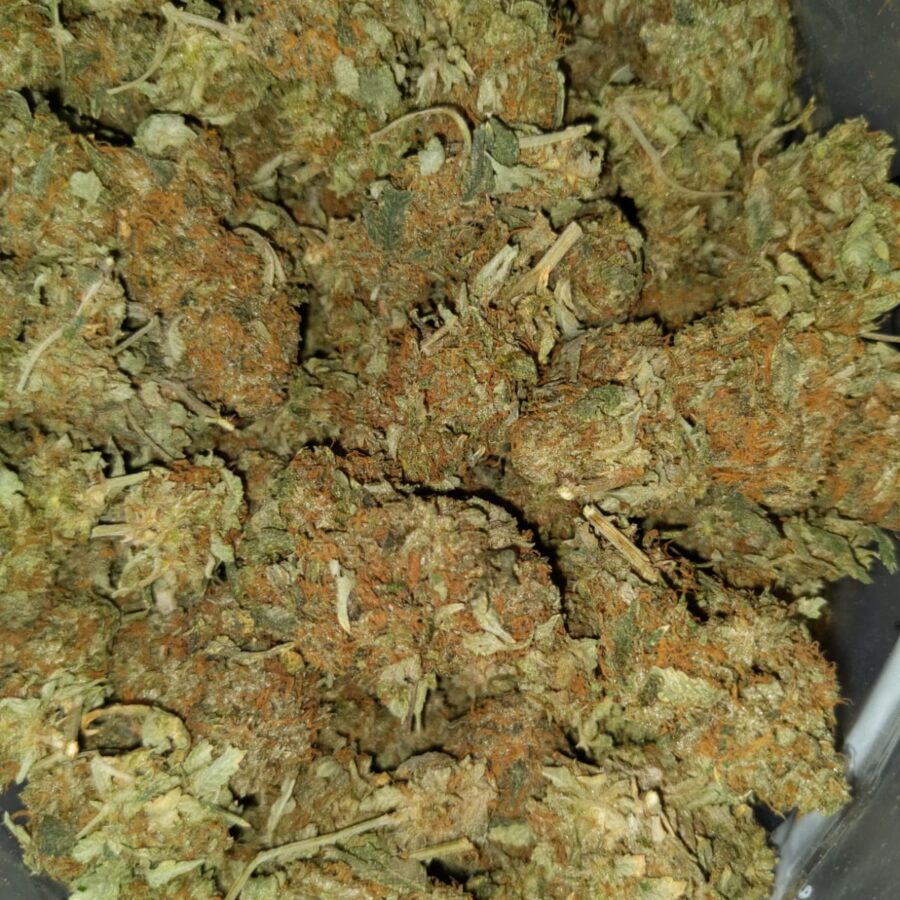 AA hybrid restock2 I Cheapweed Hybrid