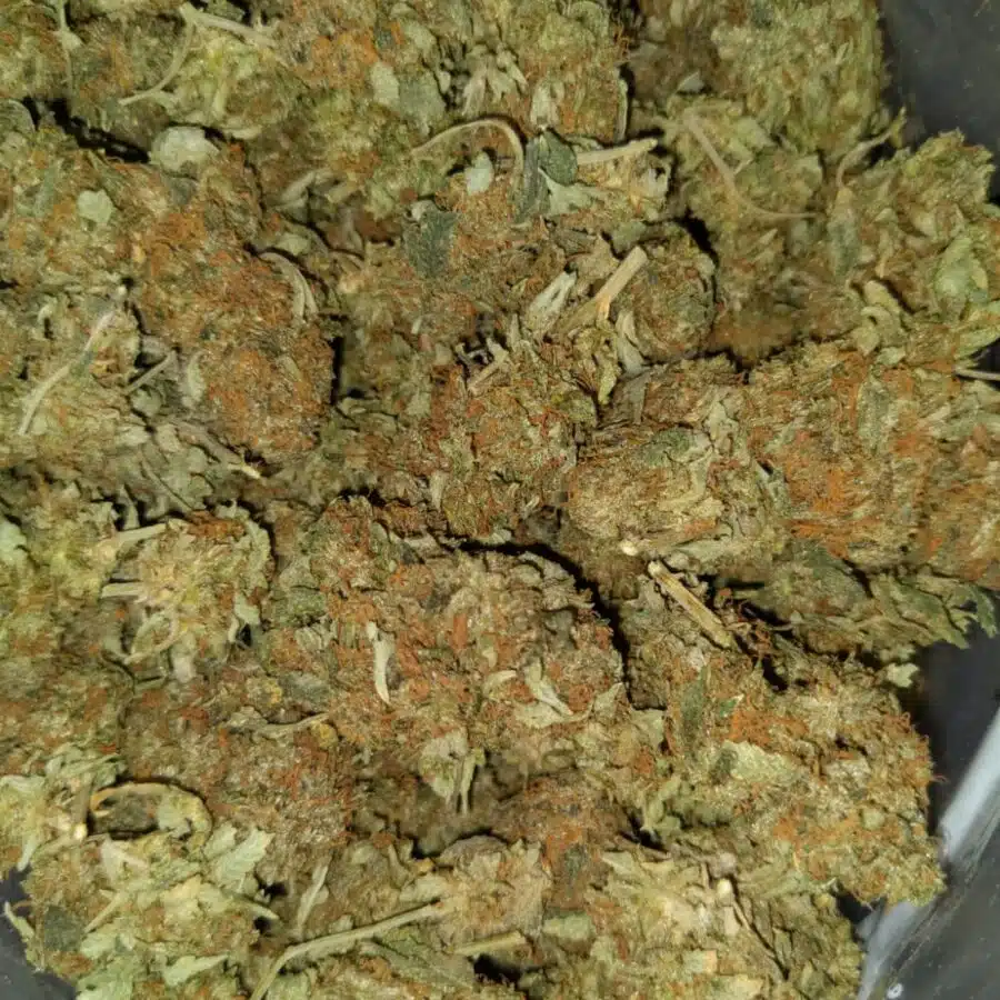 AA hybrid restock2 I Cheapweed Hybrid