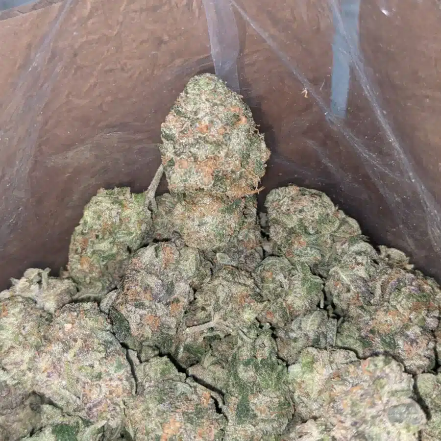 Banana OG 1 I Banana OG