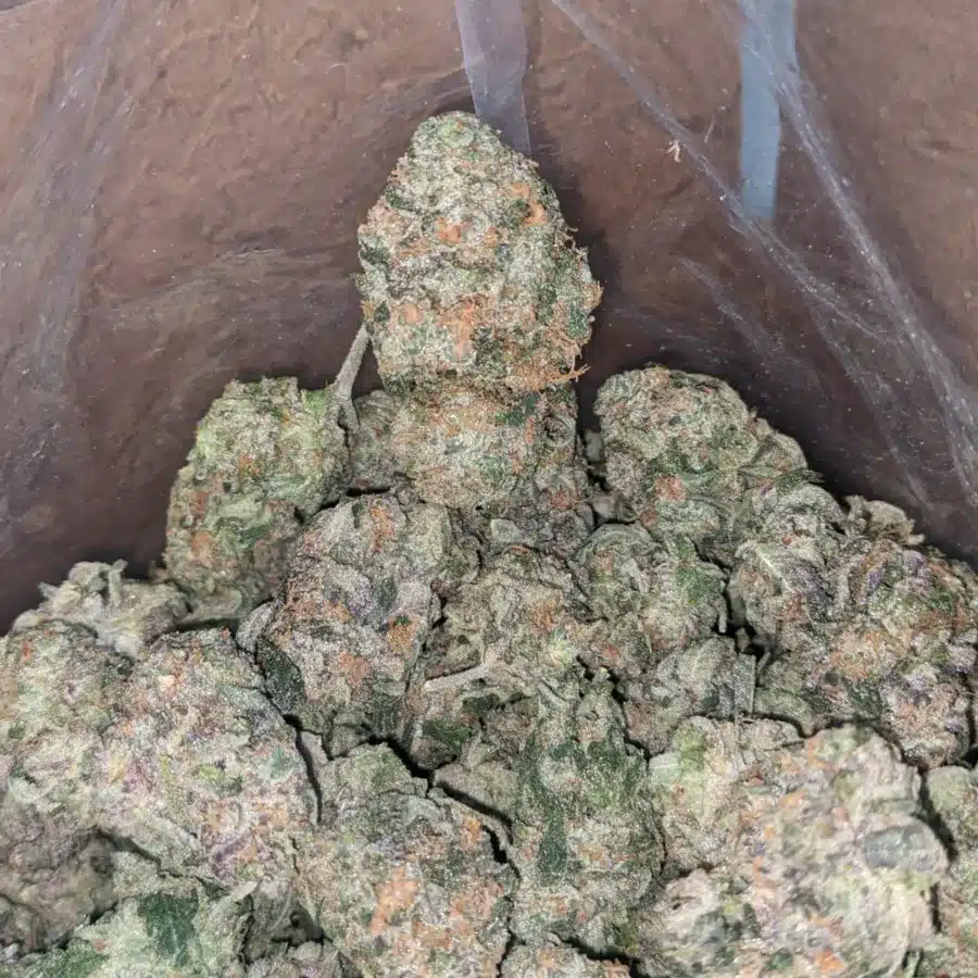 Banana OG 2 I Banana OG