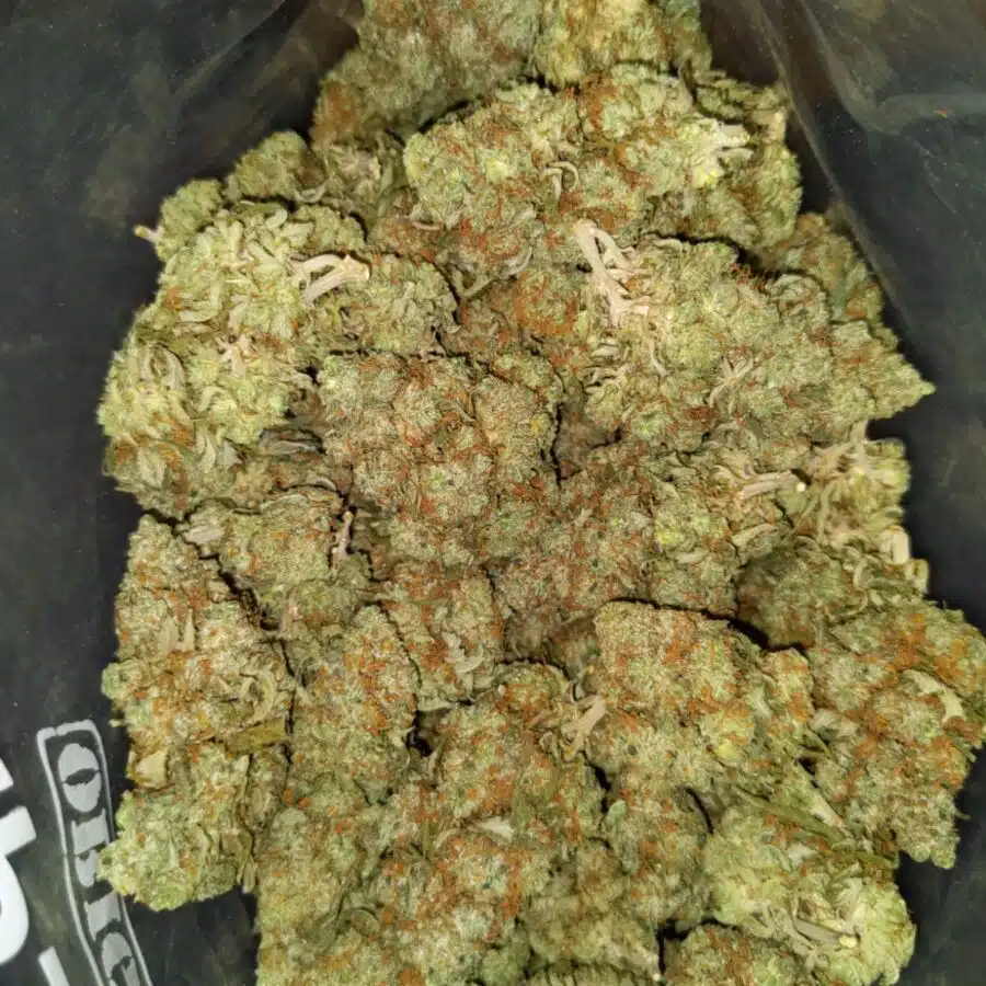 Alternative view of Blue Dream - *Deal of the Day*