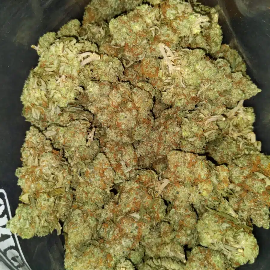 Blue dream dod4 I Blue Dream - *Deal of the Day*