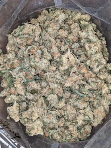 Cheapweed Hybrid (s) (2) Cheapweed Hybrid s 2 I Legacy