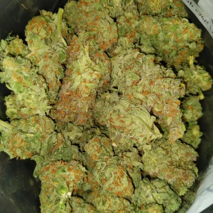 Citrix1 I $89 Oz - Citrix