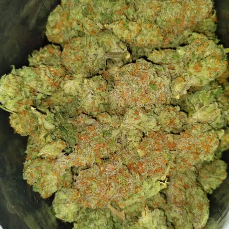 Citrix4 I $89 Oz - Citrix