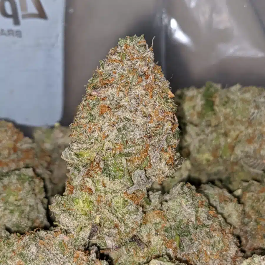 HAWAIIAN MAYAN GOLD AAA 2 I Hawaiian Mayan Gold AAA