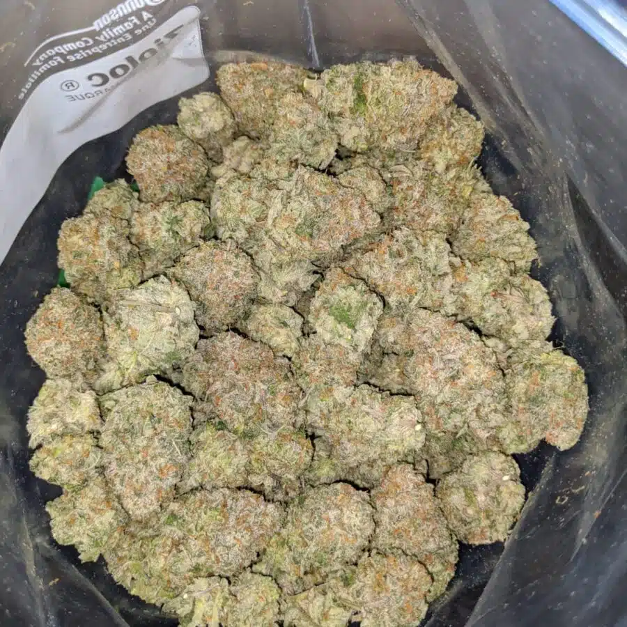 HAWAIIAN MAYAN GOLD AAA 4 I Hawaiian Mayan Gold AAA
