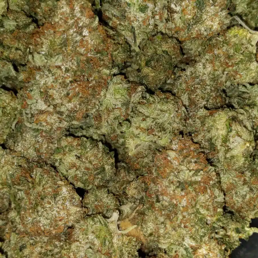 Kings bubba1 I $89 Oz - King Bubba