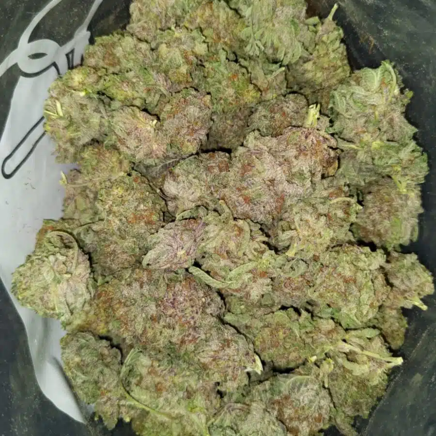 Purple haze dod1 I $119 Oz - Purple Haze