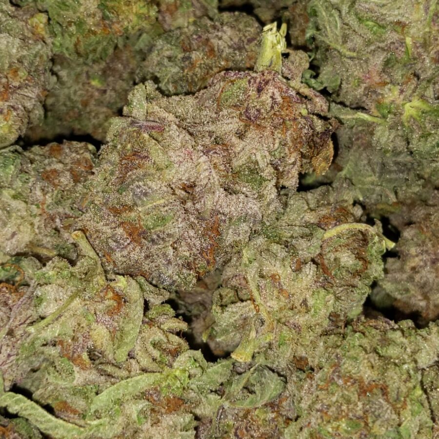 Purple haze dod3 I $119 Oz - Purple Haze