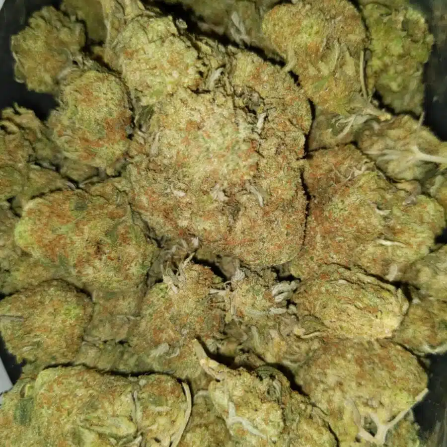 Sunset sherbet2 I $111 Oz - Sherbert