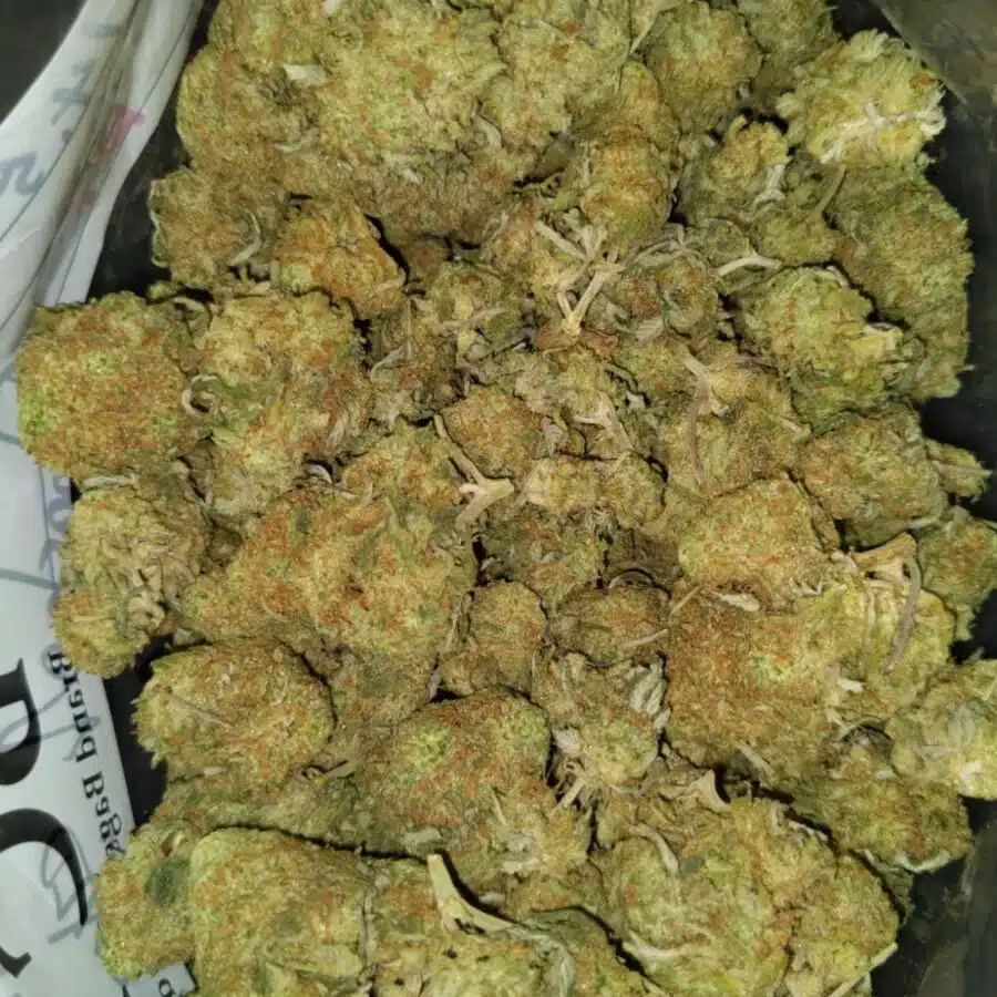 Sunset sherbet3 I $111 Oz - Sherbert