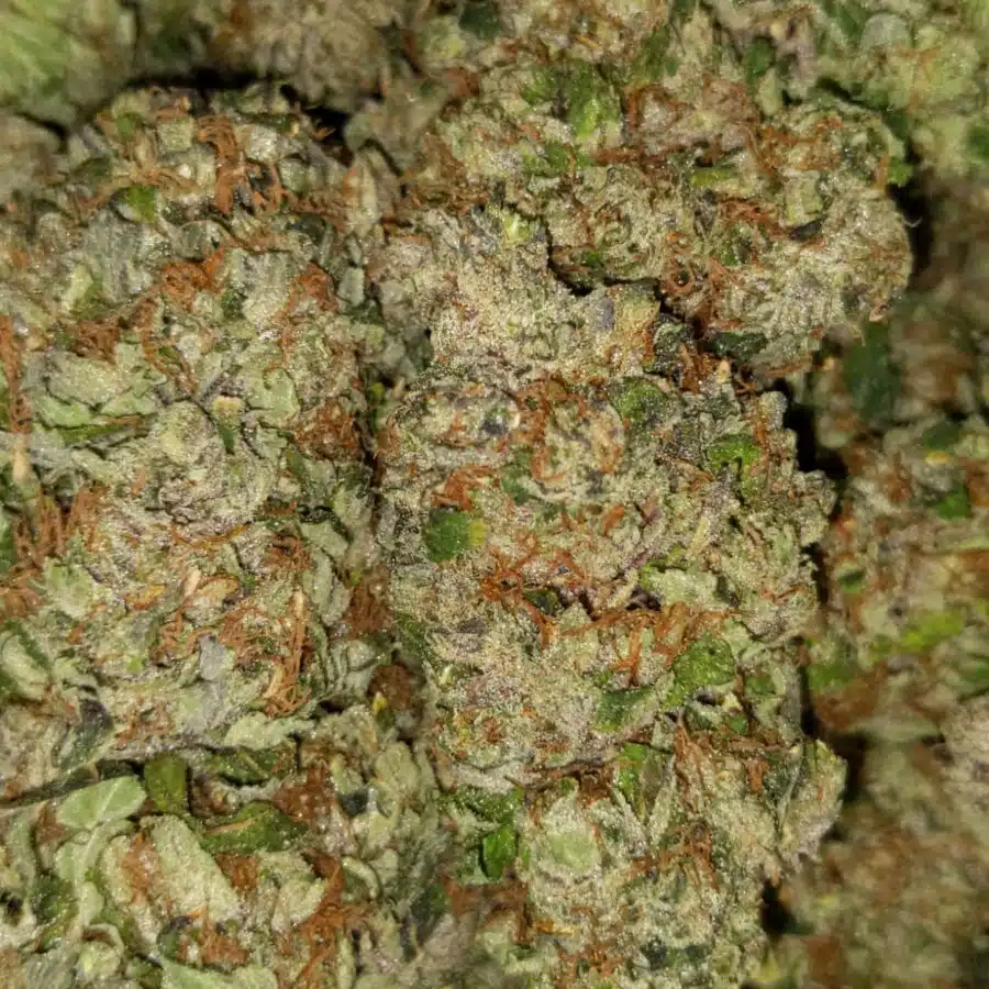 Tony holy grail1 I $129 Oz - Holy Grail