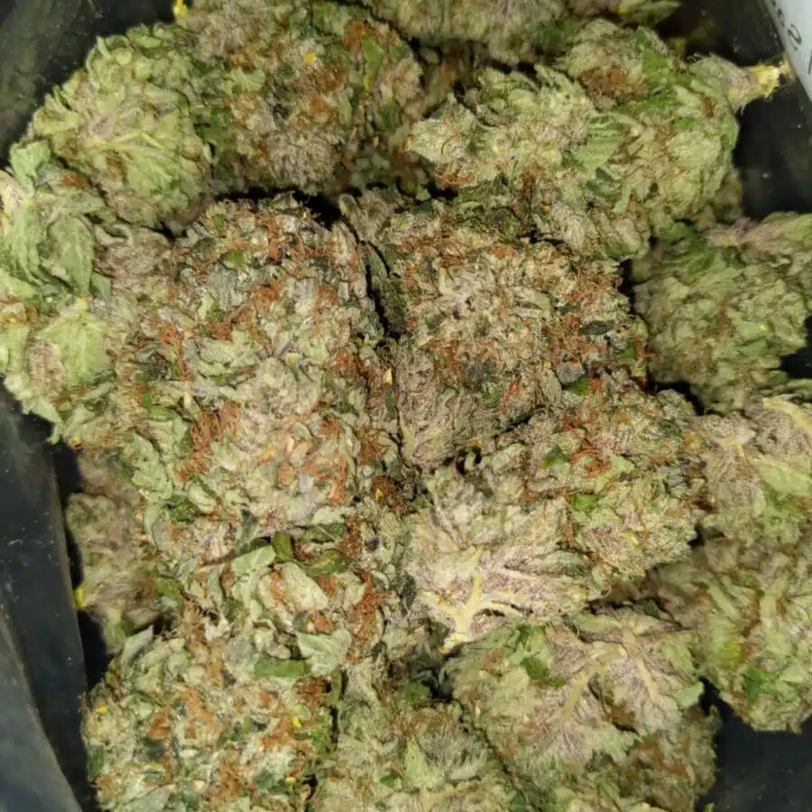 Tony holy grail2 I $129 Oz - Holy Grail