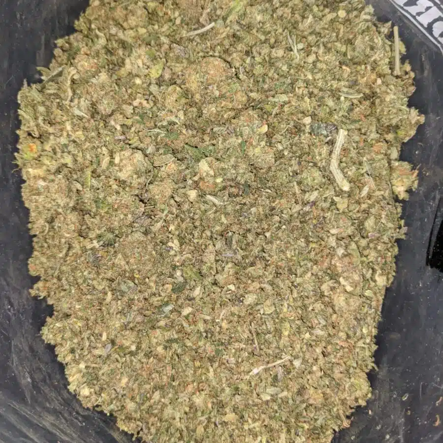 WhatsApp Image 2024 07 09 at 12.58.36 PM I Bottom Bags - Full Pounds only