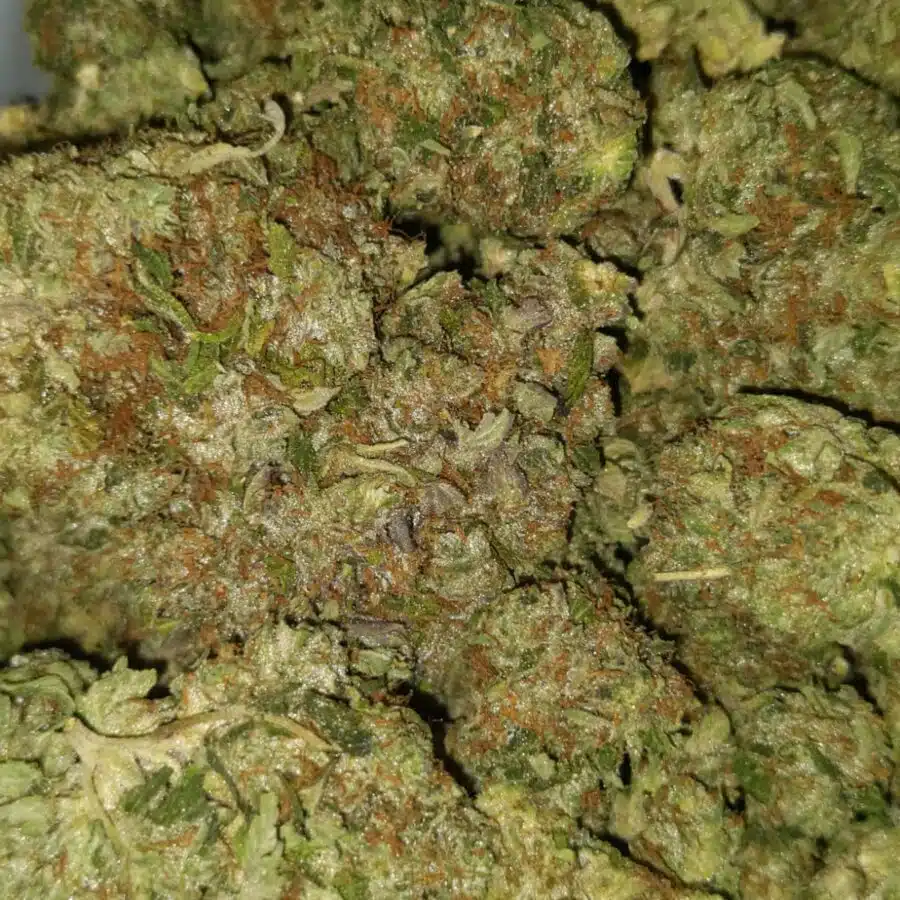 emma death bubba 1 I $99 Oz - Tony's Death Bubba