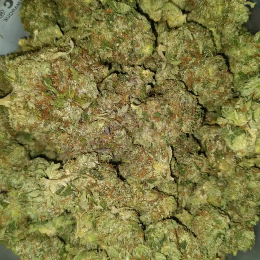 emma death bubba 2 I $99 Oz - Tony's Death Bubba