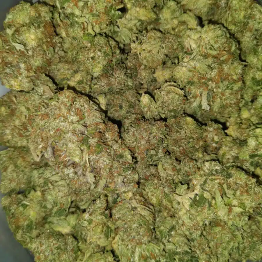 emma death bubba 4 I $99 Oz - Tony's Death Bubba