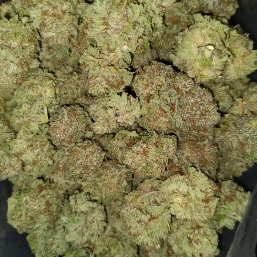 green poison 2 I $113 Oz - Green Poison