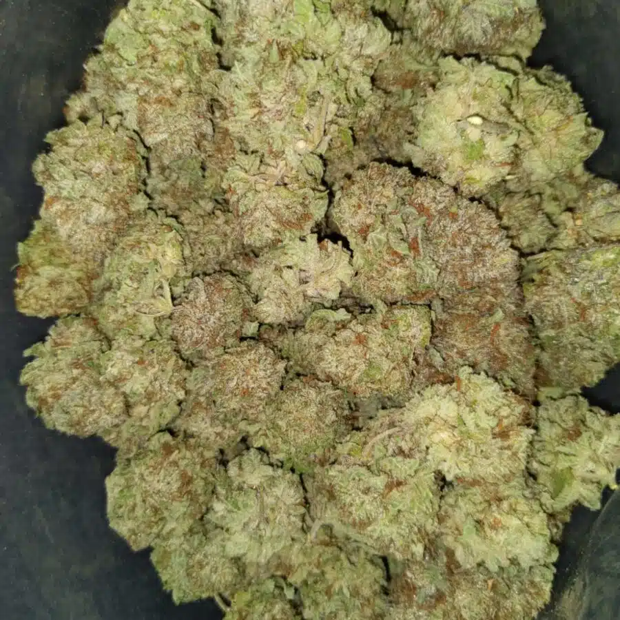 green poison 3 I $113 Oz - Green Poison