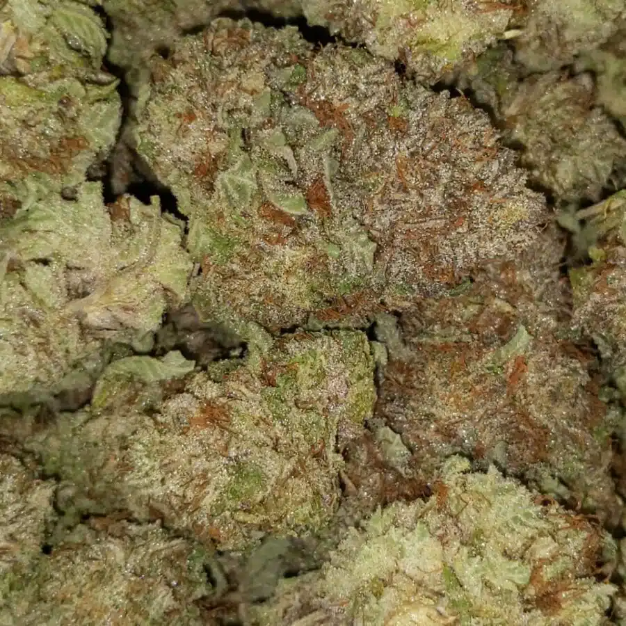 green poison 4 I $113 Oz - Green Poison